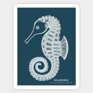 Seahorse with Common and Latin Names - sea lovers design Magnet